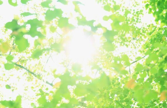 埼玉のケーキ屋で楽しいイベントをお探しなら！！